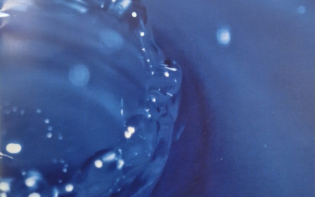 9 Gocce d’acqua 2010
